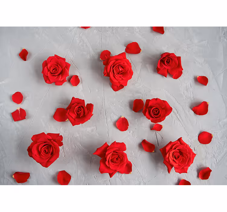 Røde rosenblade fototapet blomster - TenStickers