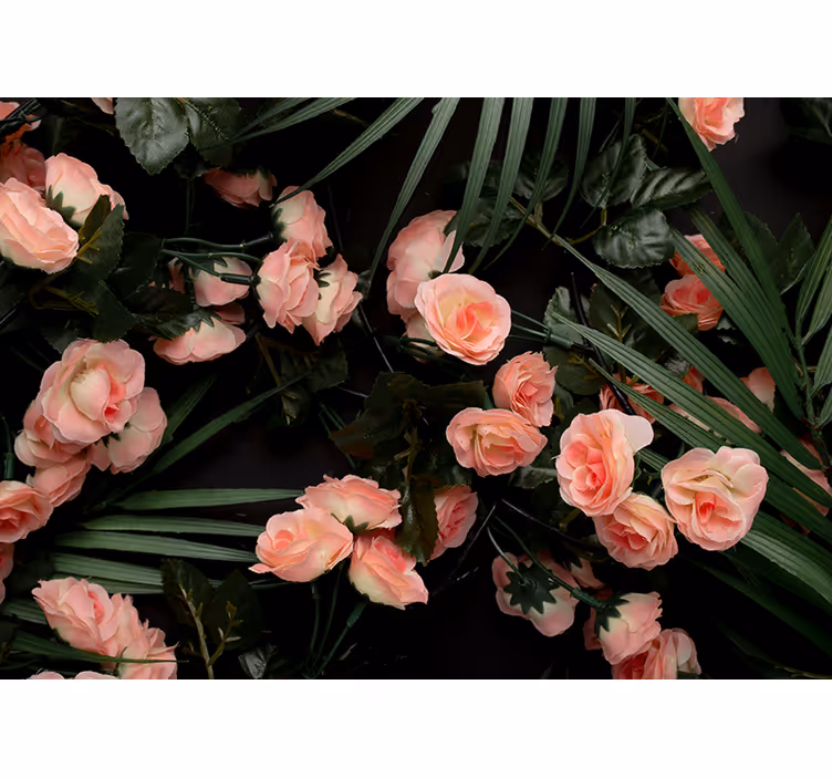 Bløde lyserøde roser fototapet blomster - TenStickers