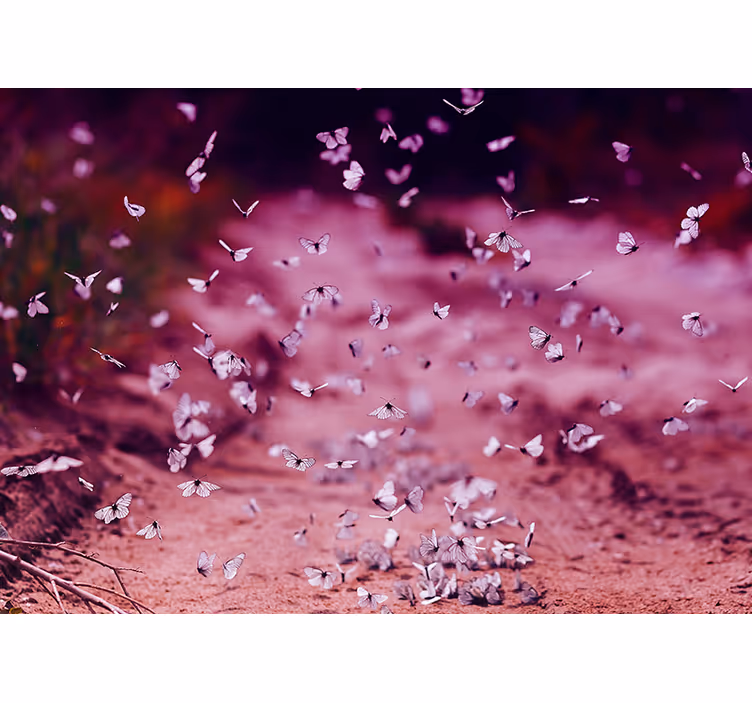 Delikat sommerfugledans fototapet blomster - TenStickers
