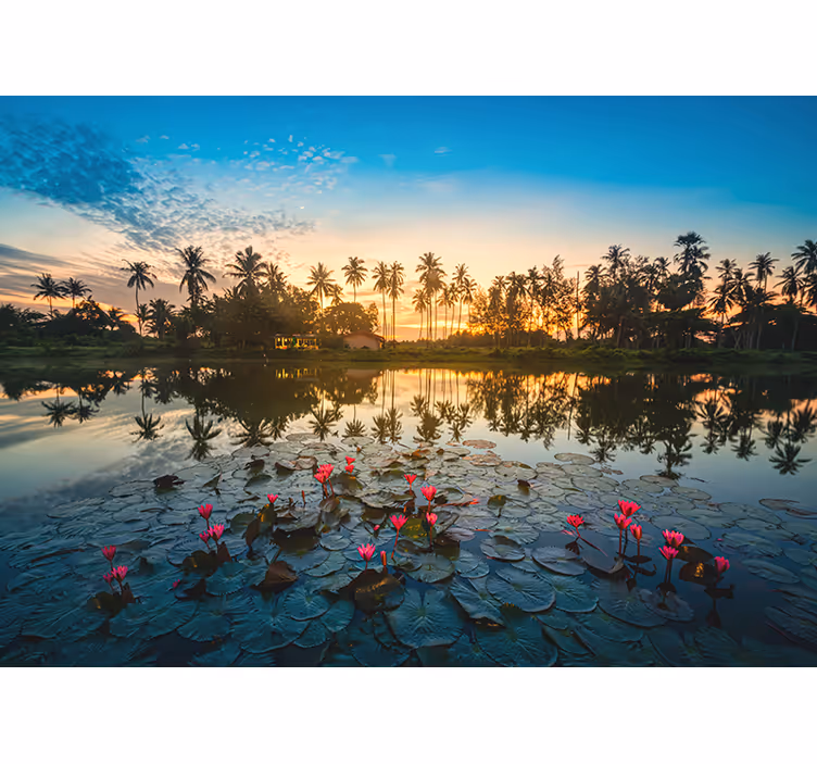 Fredfyldt lotusrefleksion natur fototapet - TenStickers