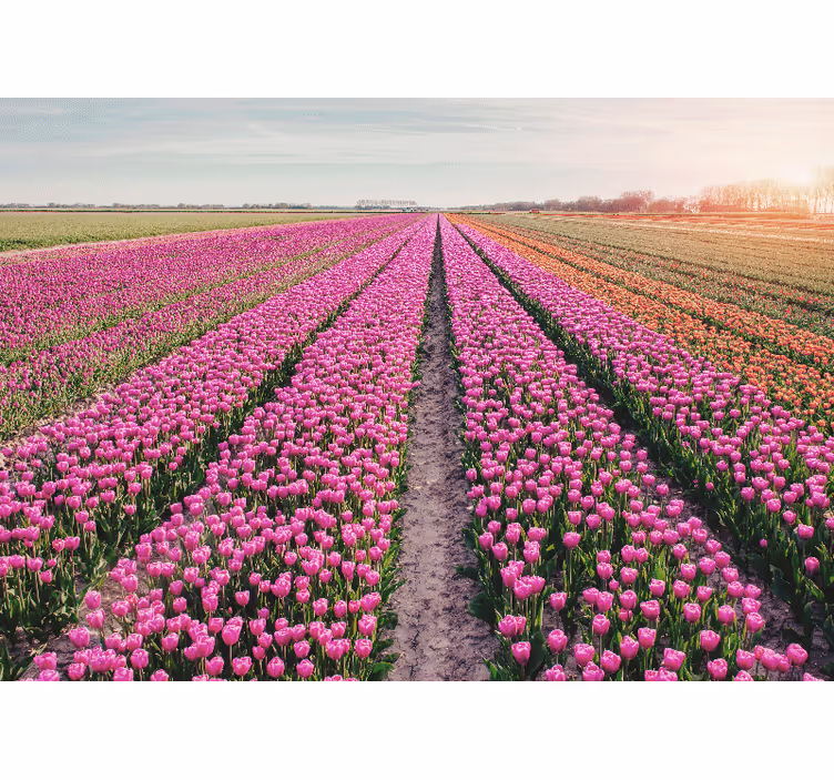 Fototapet blomster tulipanenge landskab - TenStickers