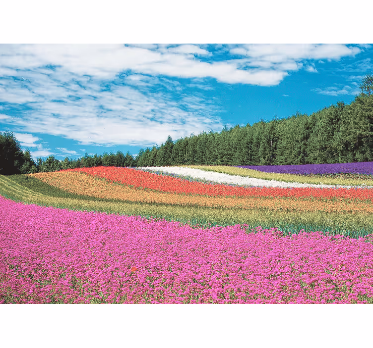 Fototapet blomster livligt blomsterlandskab - TenStickers