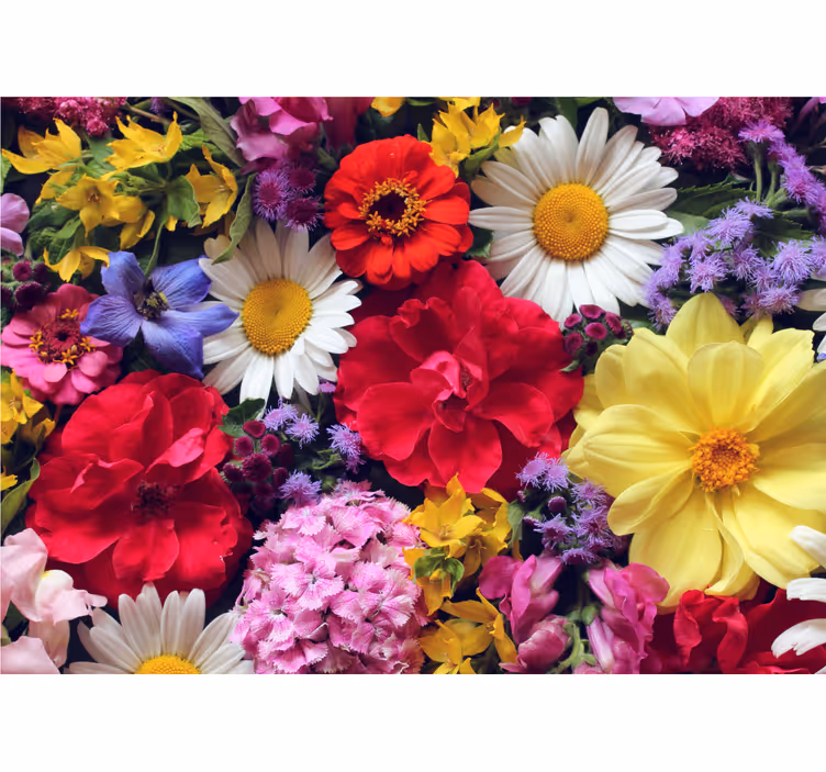 Fototapet blomster levende blomsterarrangement - TenStickers