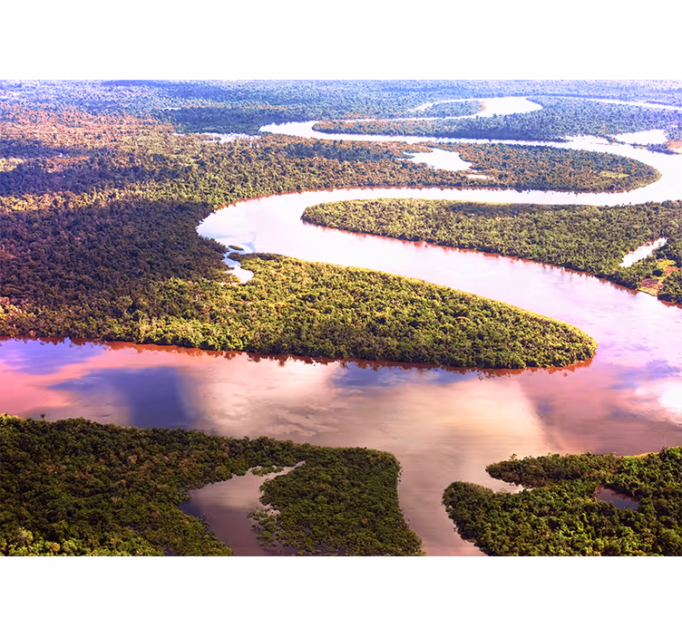 Amazon floden natur fototapet - TenStickers