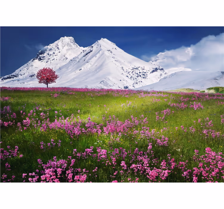 Sneklædte bjerge blomstrer natur fototapet - TenStickers