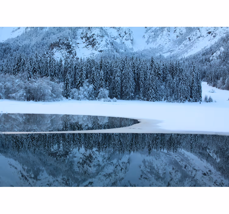Landskab fototapet rolig vinterlandskab - TenStickers