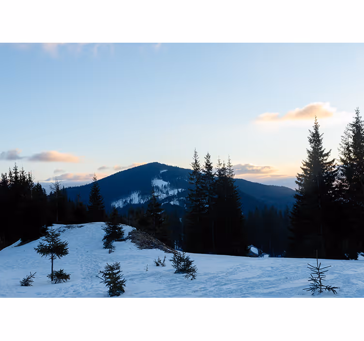 Fototapet bjerg frosty summit landskab - TenStickers