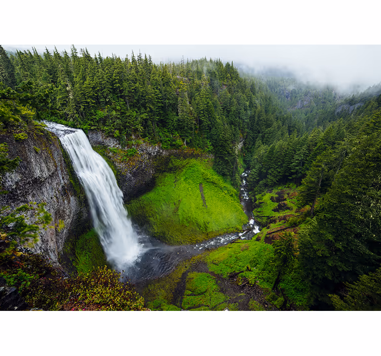 Natur fototapet frodig grøn vandfald - TenStickers