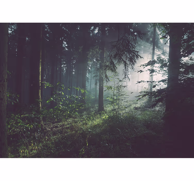 Dybt lysegrøn skov fototapet - TenStickers