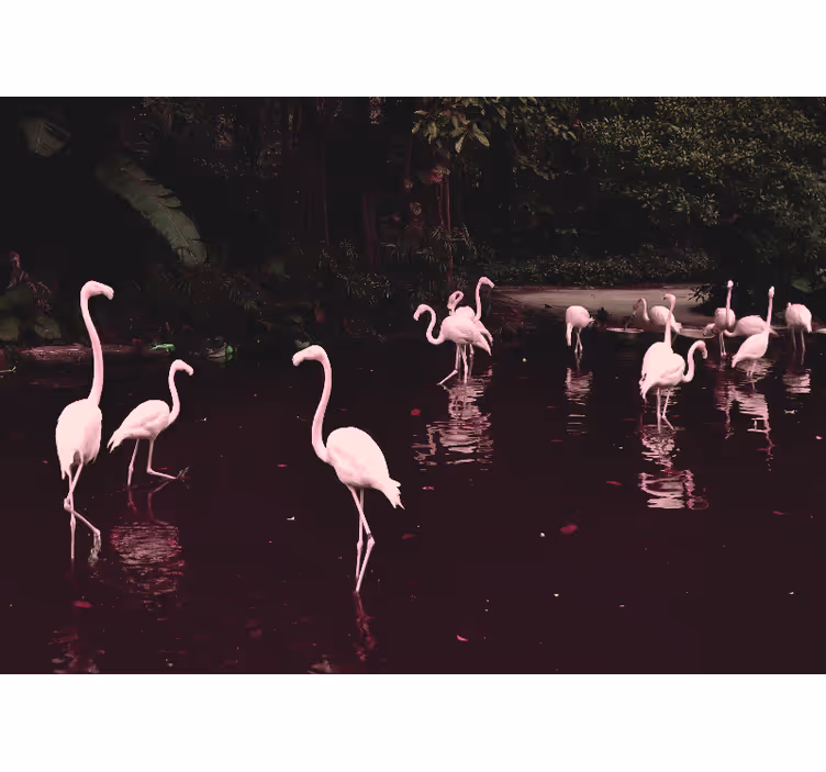 Kontor fototapet elegante flamingoer samles - TenStickers