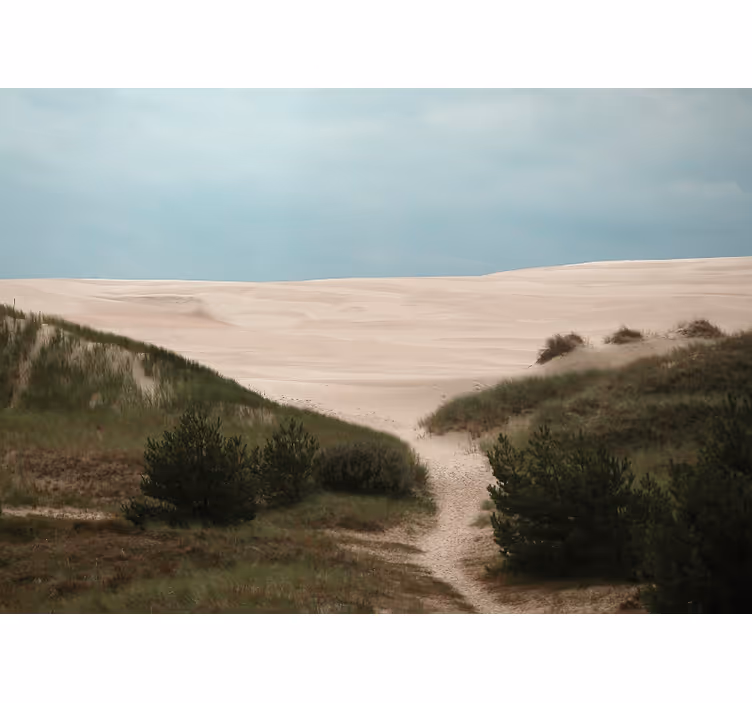 Landskab fototapet sanddune sti - TenStickers