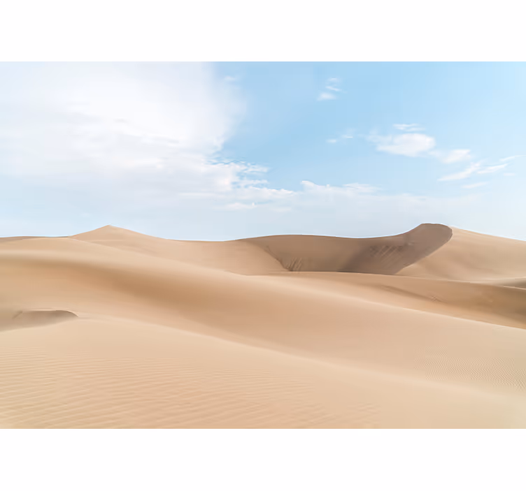 Fototapet ørken stille sandklitter - TenStickers