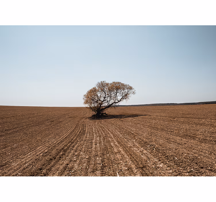 Natur fototapet ensom træ landskab - TenStickers