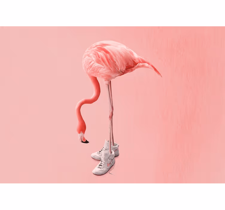 Fototapet elefant flamingo i sneakers - TenStickers