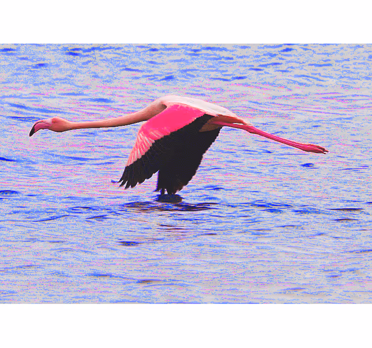 Flamingo i flugt fototapet elefant - TenStickers