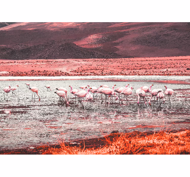 Fototapet elefant flamingo levested scene - TenStickers
