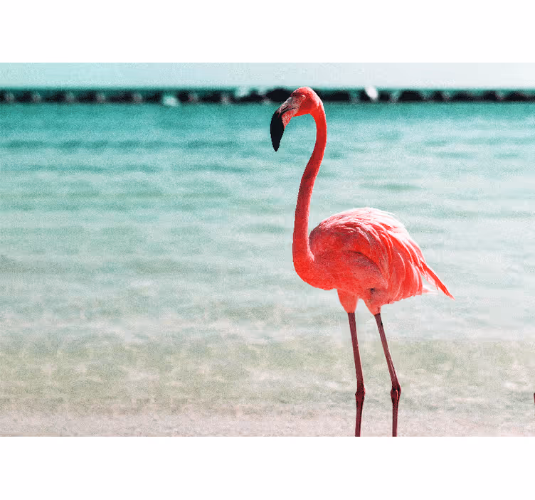Søde flamingoer på stranden fototapet - TenStickers