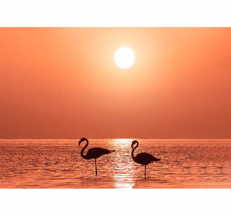 Solopgang flamingoer i vand gangen fototapet - TenStickers