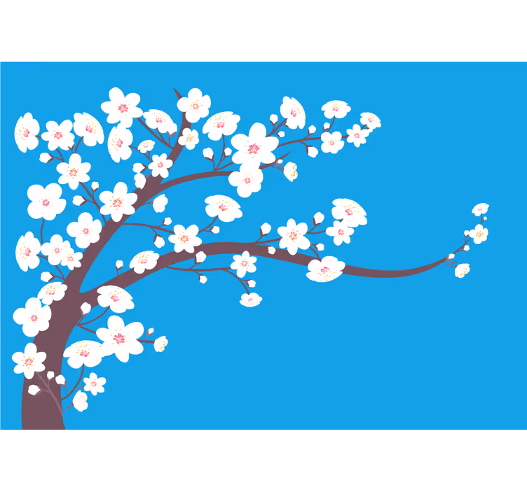Fototapet blomster sakura blossom gren - TenStickers