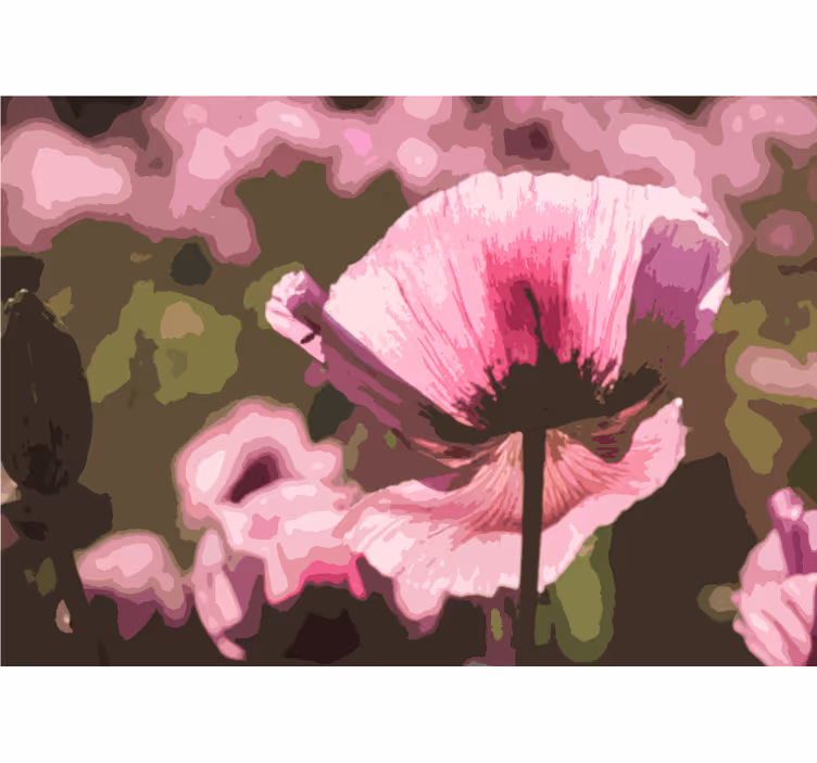 Valmue fototapet lyserød valmuebloom - TenStickers