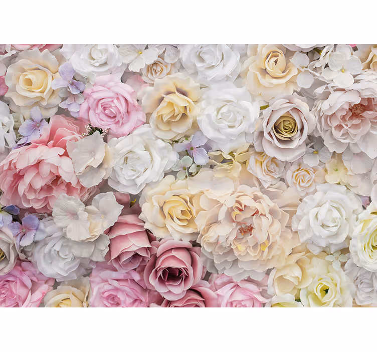 Fototapet blomster yndefuld rosenkomposition - TenStickers