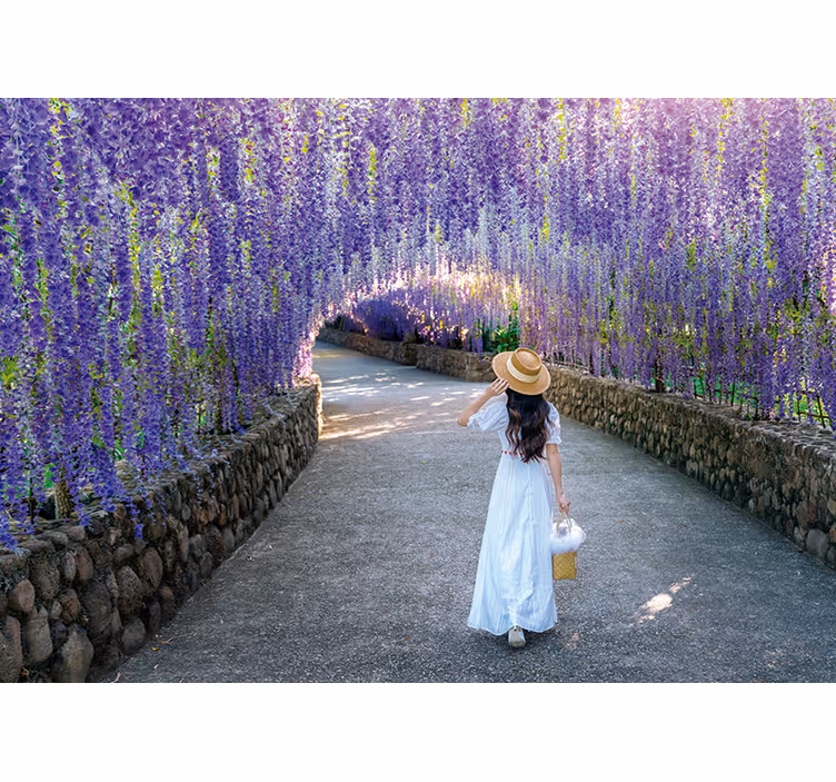 Fototapet blomster glycinestier - TenStickers