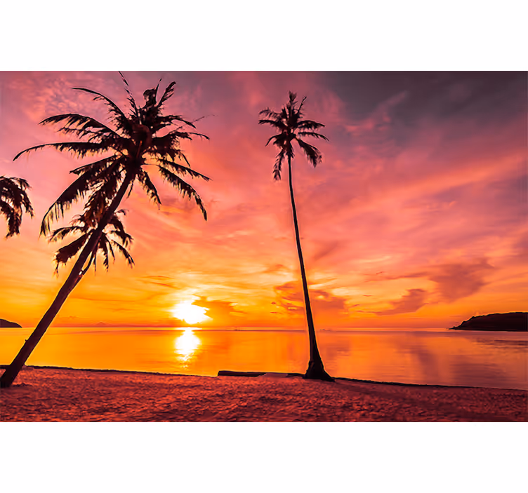 Natur fototapet tropisk solnedgang udsigt - TenStickers