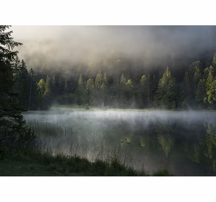 Tapet natur serene tåget sø - TenStickers