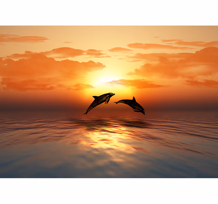 Delfiner hoppe aften natur fototapet - TenStickers