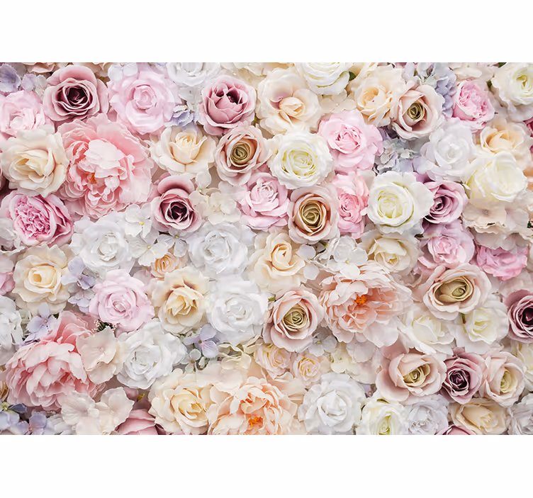 Fototapet blomster rosenblomst kollektion - TenStickers