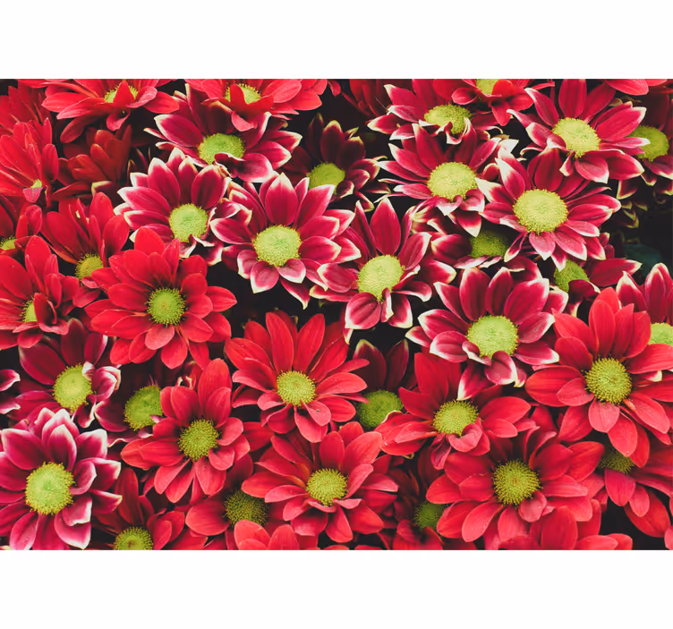 Fototapet blomster i krystalliseret komposition - TenStickers