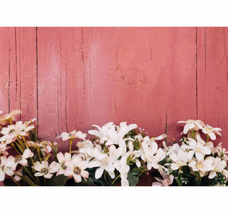 Fototapet blomster sart hvide blomster - TenStickers