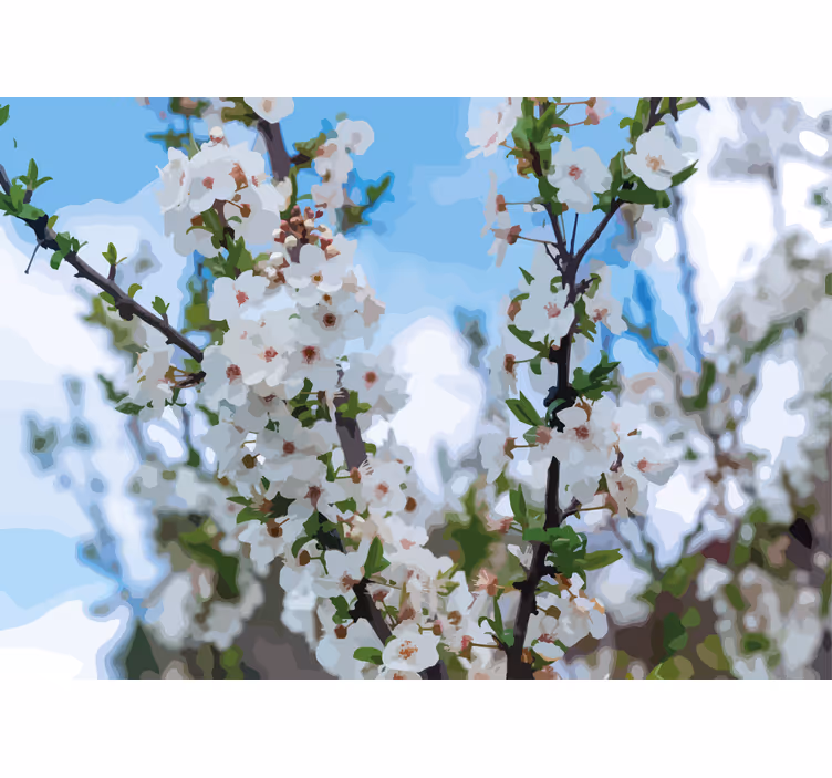 Blomstrende tegnet kirsebær blomster blomst fototapet - TenStickers