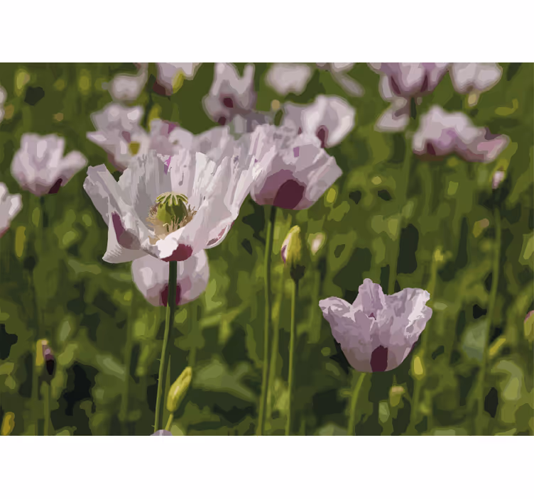 Valmue fototapet floral elegance - TenStickers