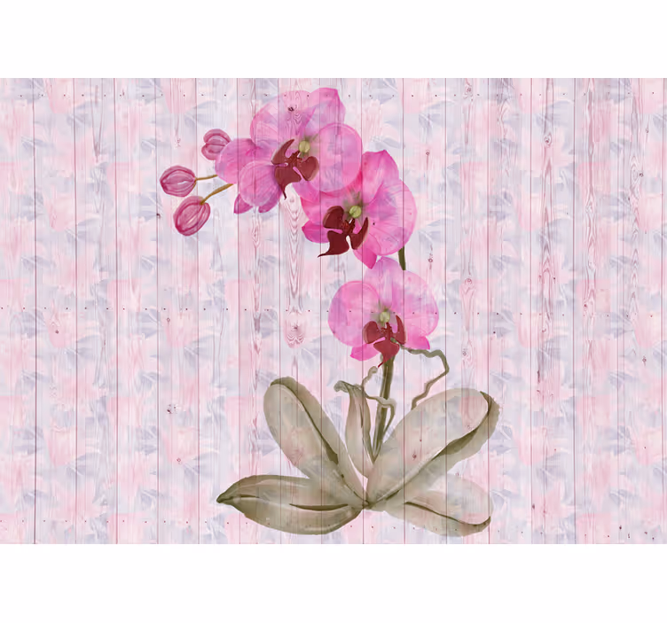 Fototapet blomster pink orkidé blomster - TenStickers