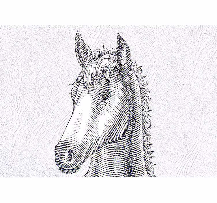 Fototapet dyr elegant hest portræt - TenStickers