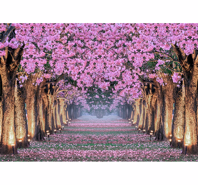 Sti med træer og lyserøde blomster fototapet - TenStickers