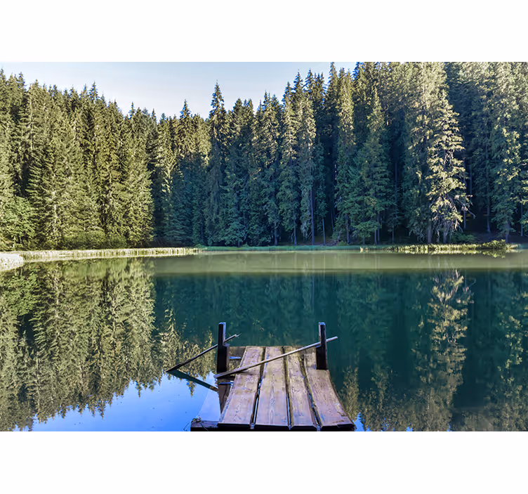 Natur fototapet rolig skovrefleksion - TenStickers