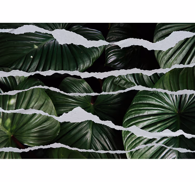 Tapet natur frodige bladdesign - TenStickers
