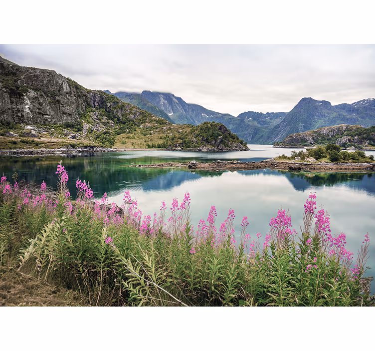 Landskab fototapet fortryllende norsk fjord - TenStickers