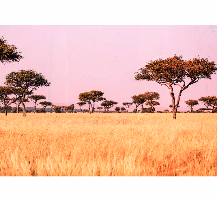 Originale afrikanske savanne africa fototapet - TenStickers