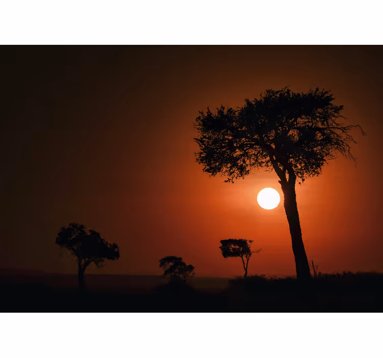 Silhuet solnedgang scene landskab fototapet - TenStickers