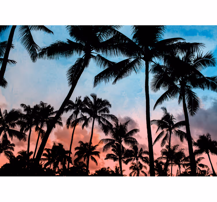 Natur fototapet palmeskygger - TenStickers