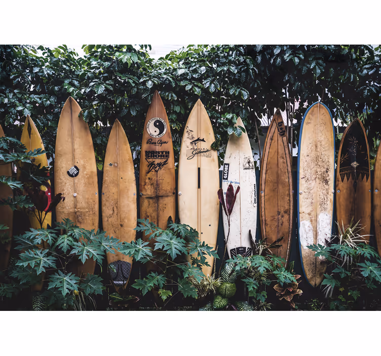 Fototapet køretøj surfbrætter på udstilling - TenStickers