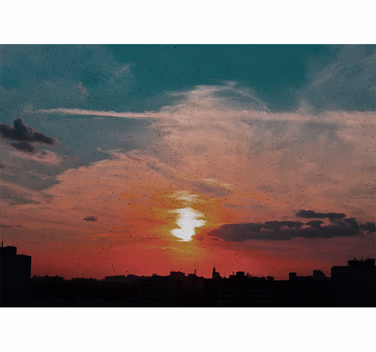 Landskab fototapet solnedgang over by - TenStickers