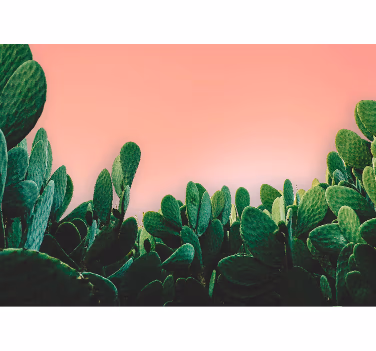 Natur fototapet kaktuslandskab - TenStickers