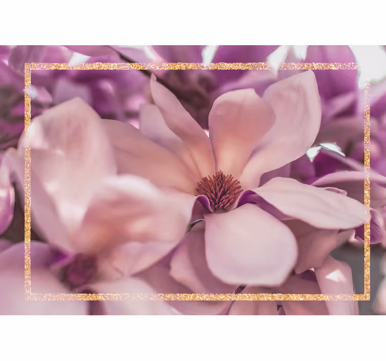 Fototapet blomster magnolia blomst nærbillede - TenStickers