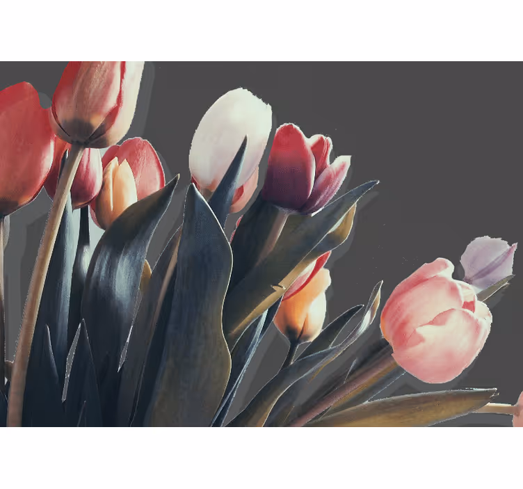 Lyserøde tulipaner på en sort tulipan fototapet - TenStickers