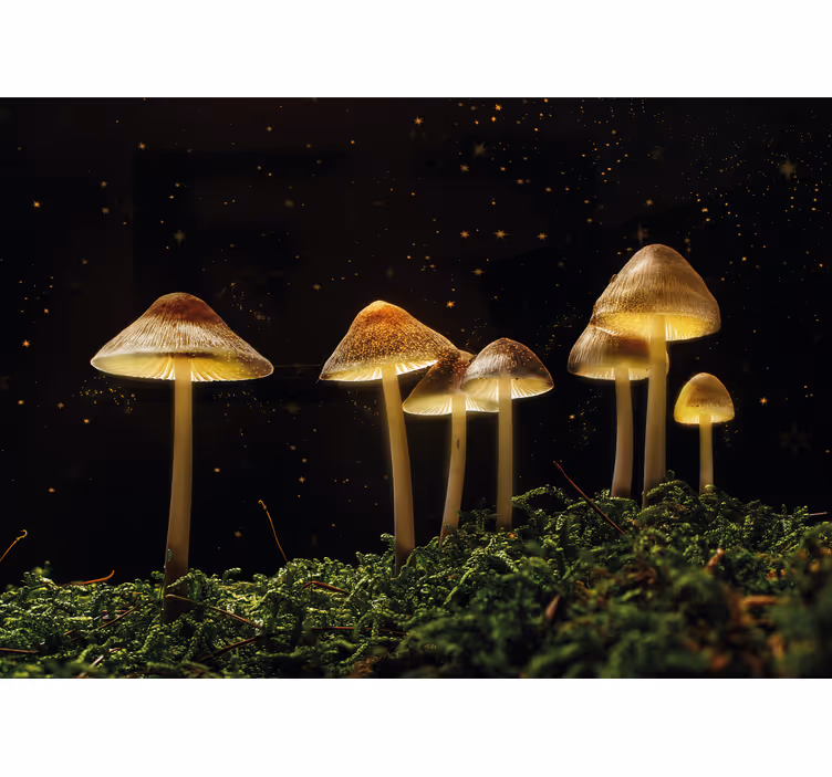 Natur fototapet lysende svampescene - TenStickers