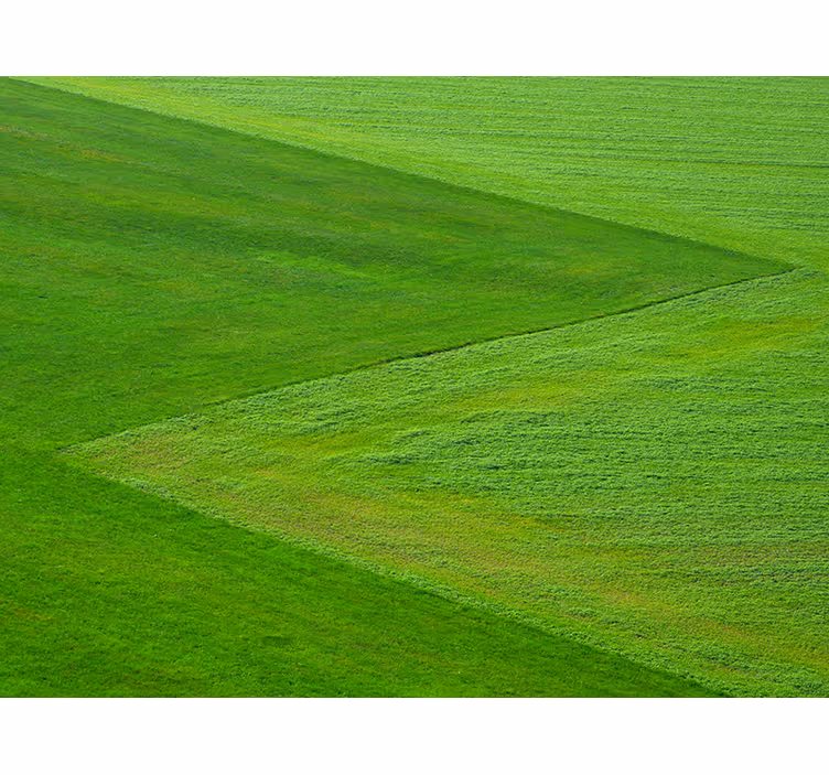 Rene grønne marker natur fototapet - TenStickers